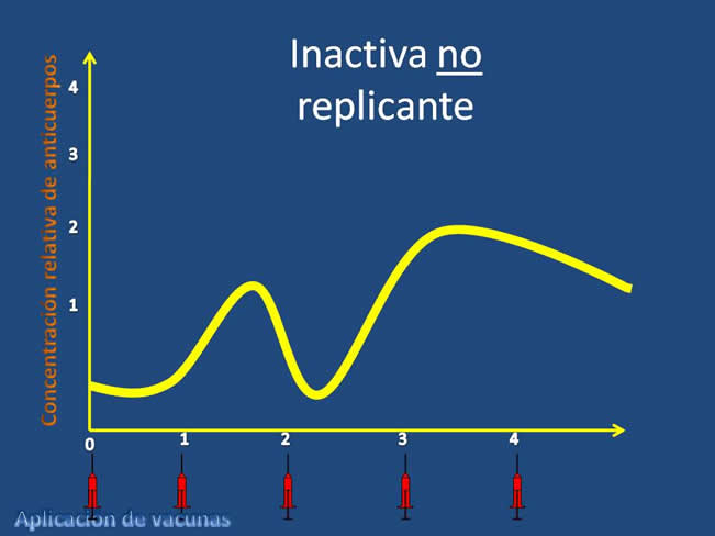 Inmunizacin en perros y gatos