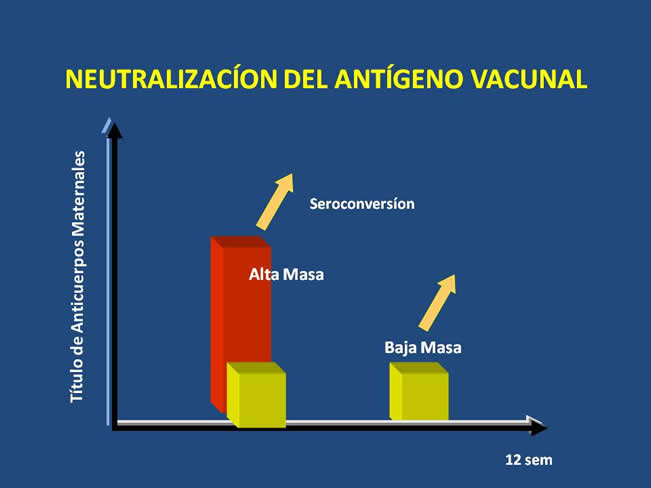 Inmunizacin en perros y gatos