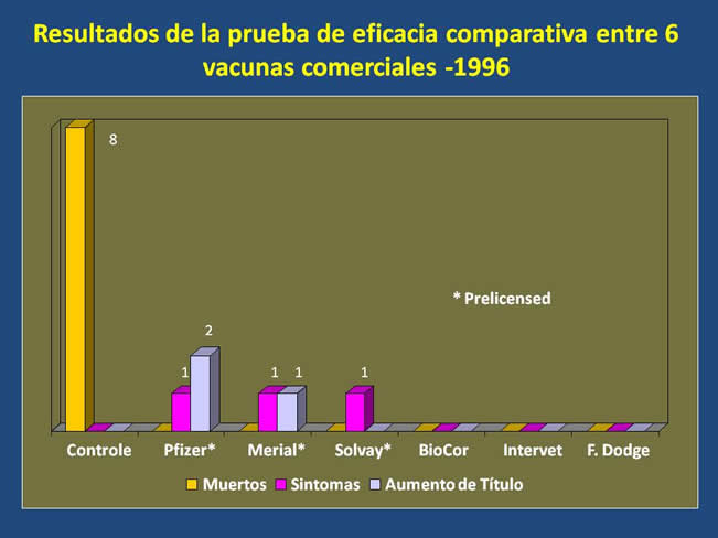 Inmunizacin en perros y gatos