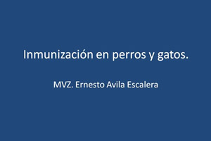 Inmunizacin en perros y gatos