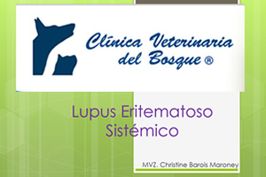 Lupus Eritematoso Sistmico