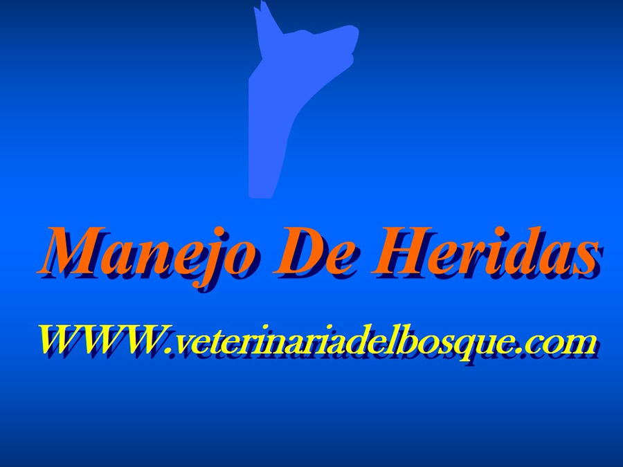 Manejo De Heridas