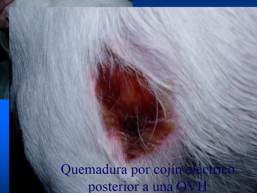 Manejo De Heridas