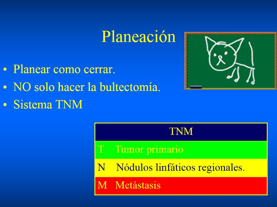 Manejo De Heridas