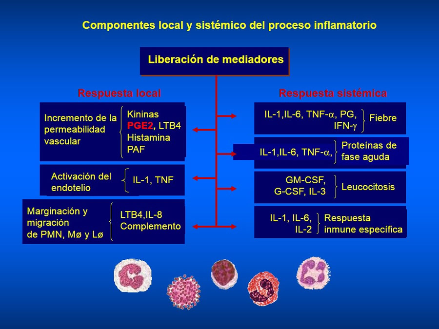 Manejo De Heridas