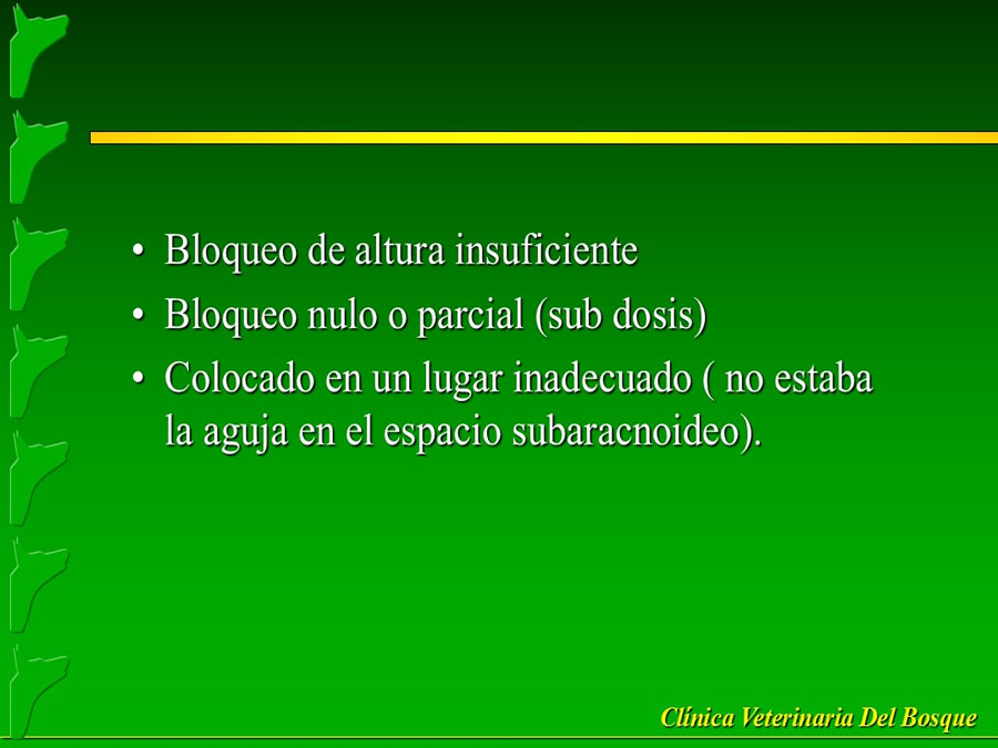 Manejo del Dolor