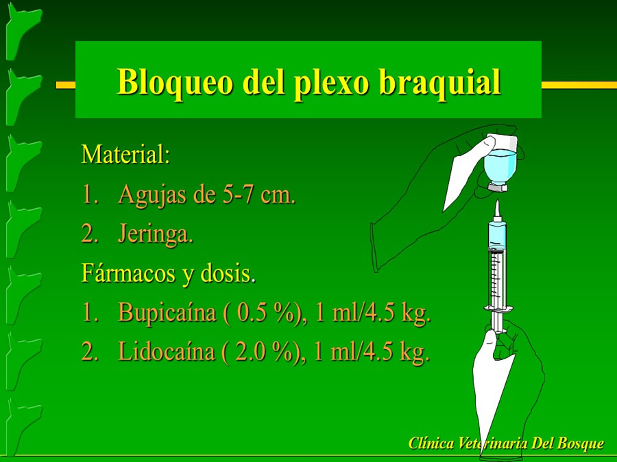 Manejo del Dolor