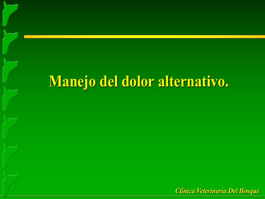 Manejo del Dolor