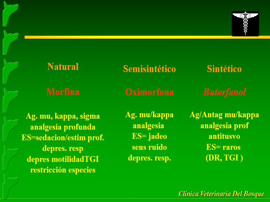 Manejo del Dolor