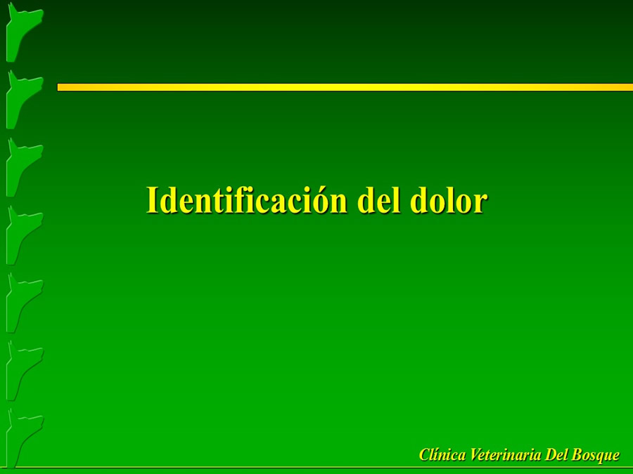 Manejo del Dolor