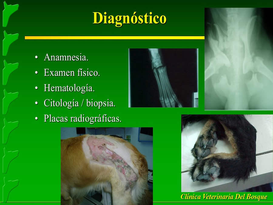 Manejo del Dolor