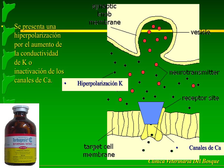 Manejo del Dolor