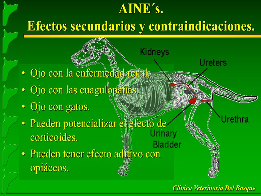 Manejo del Dolor