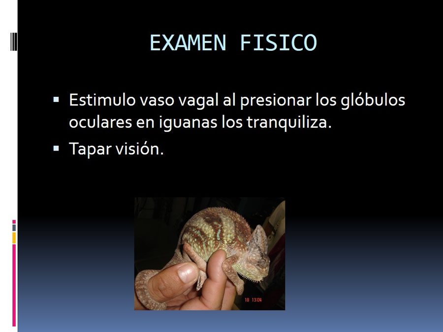 Medicina en reptiles