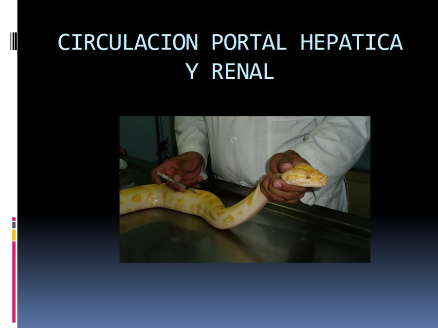 Medicina en reptiles