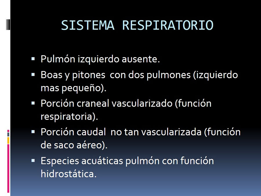 Medicina en reptiles