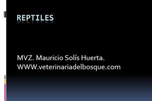 Medicina en reptiles