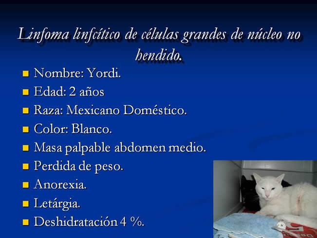 Monitorizacin del paciente en estado crtico y anestesia