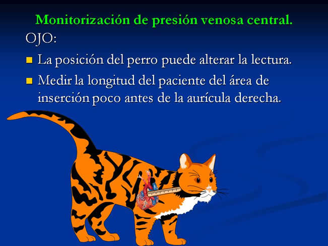 Monitorizacin del paciente en estado crtico y anestesia