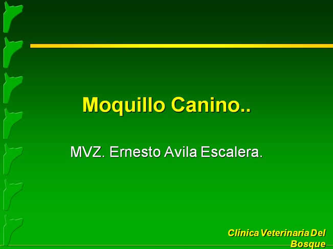 Moquillo Canino