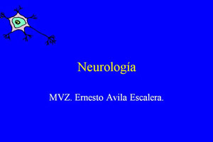 Neurologa