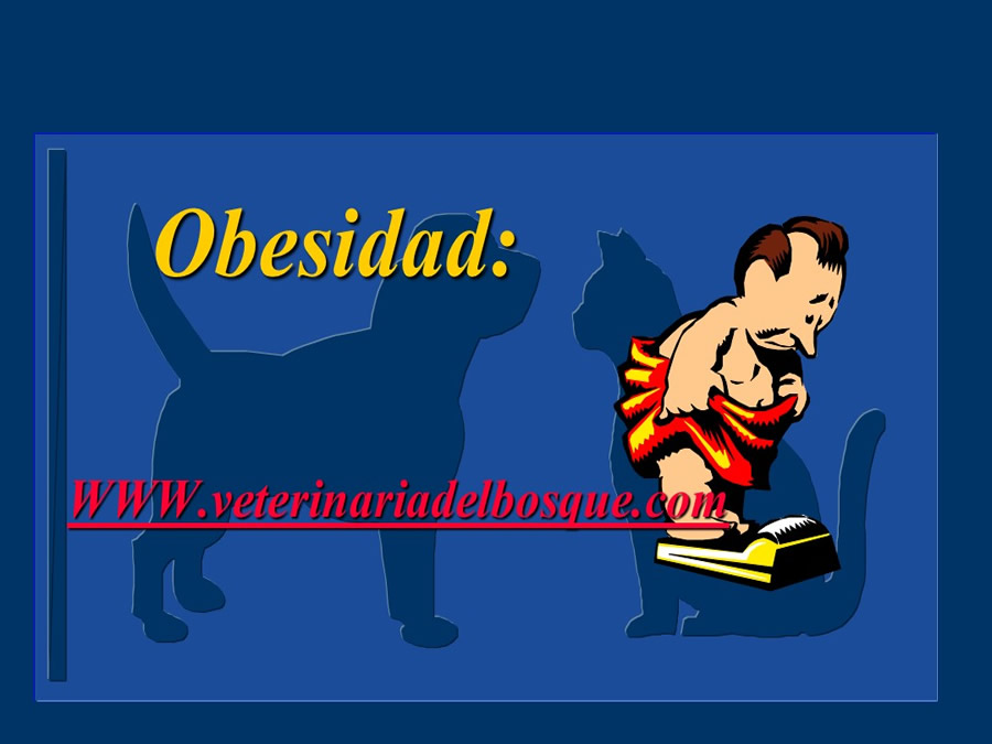 Obesidad