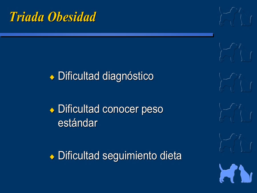 Obesidad