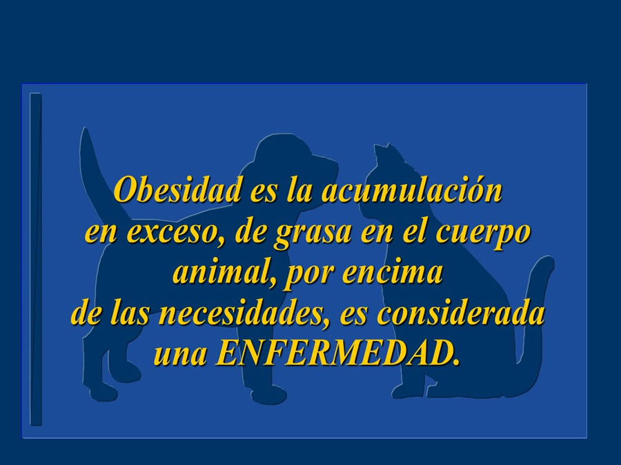 Obesidad