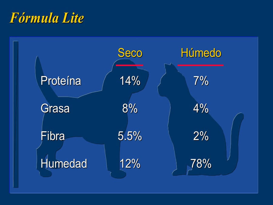 Obesidad