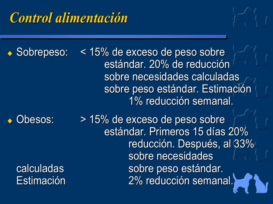 Obesidad