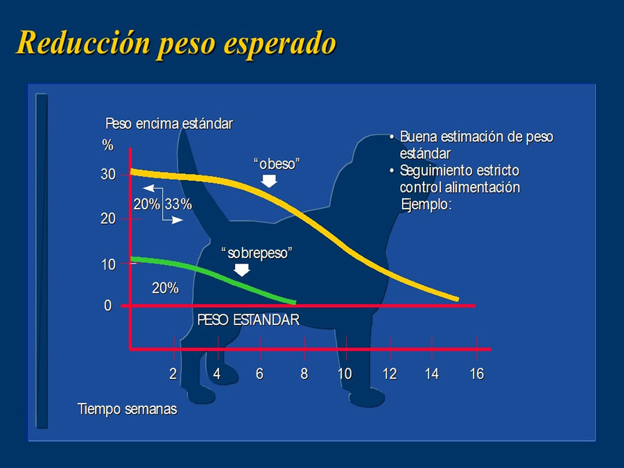 Obesidad