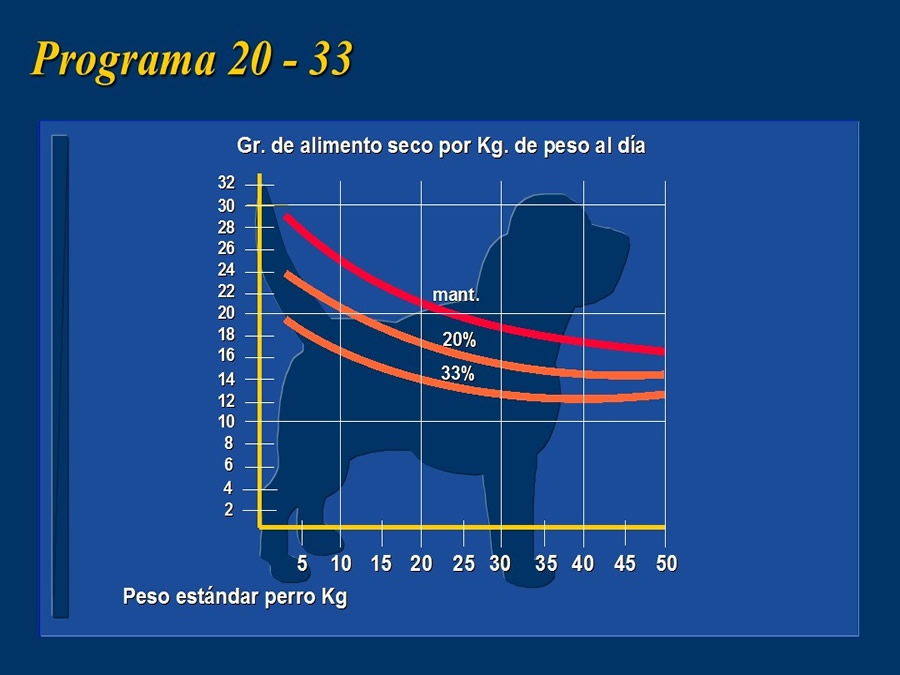 Obesidad