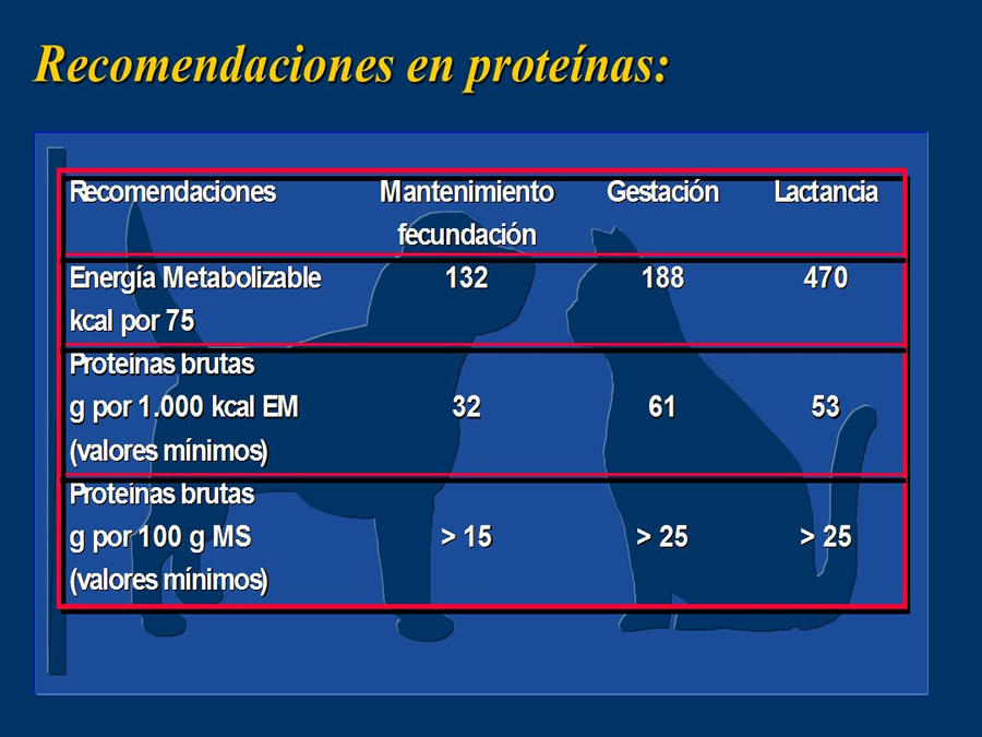 Obesidad