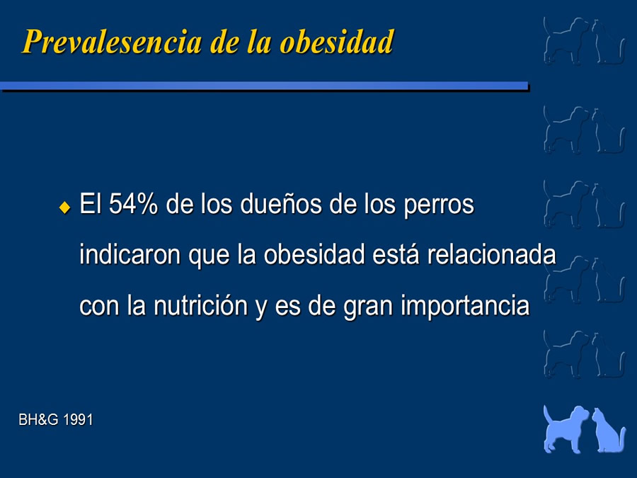 Obesidad