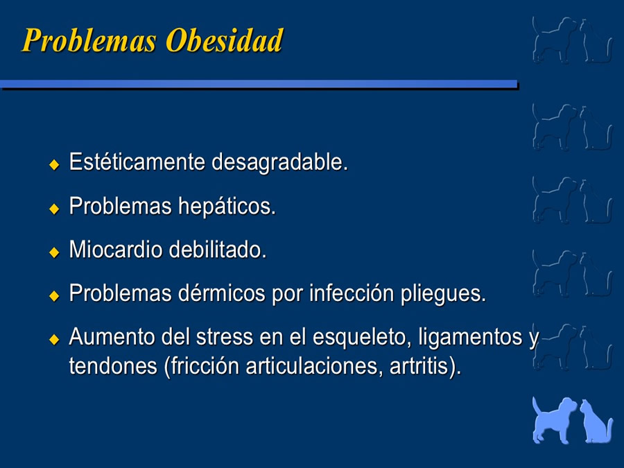 Obesidad