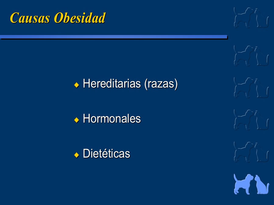 Obesidad