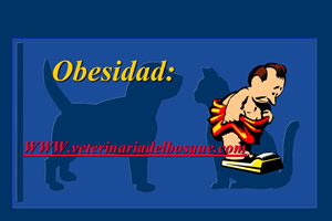 Obesidad