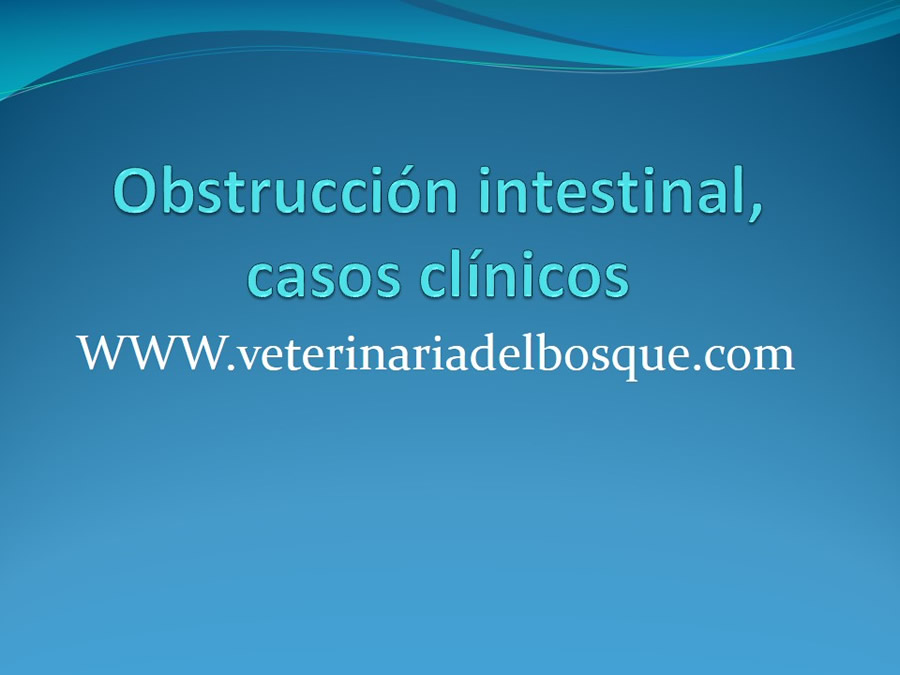 Obstruccin intestinal