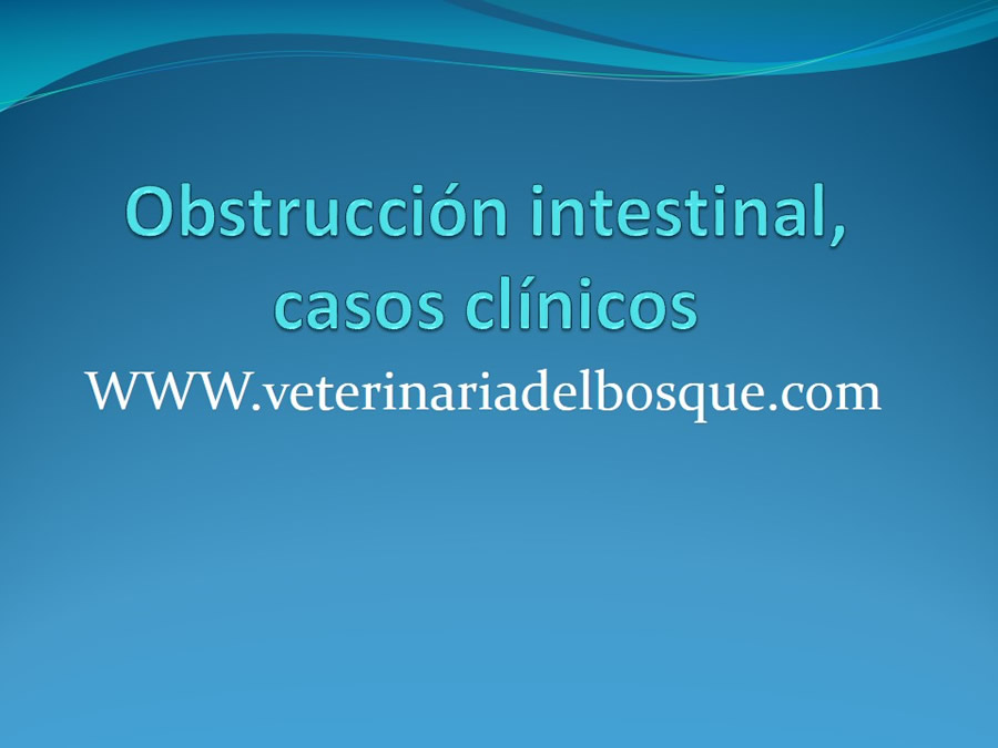 Obstruccin intestinal