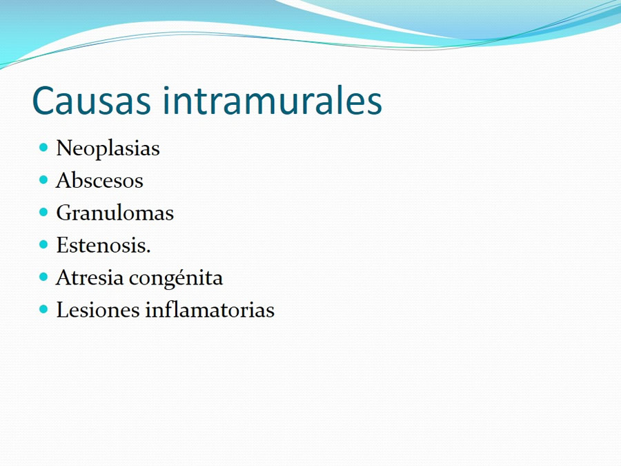 Obstruccin intestinal