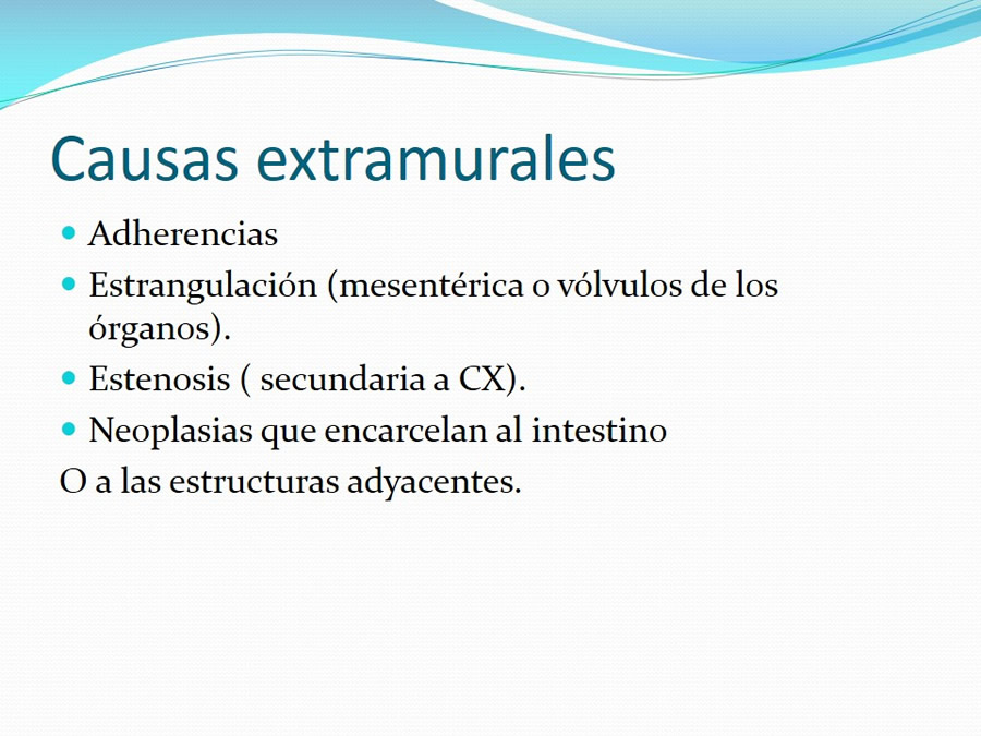 Obstruccin intestinal