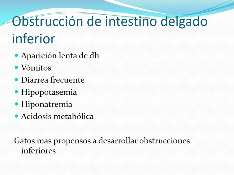 Obstruccin intestinal