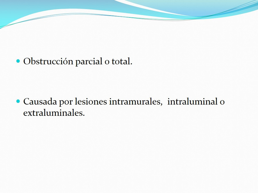 Obstruccin intestinal