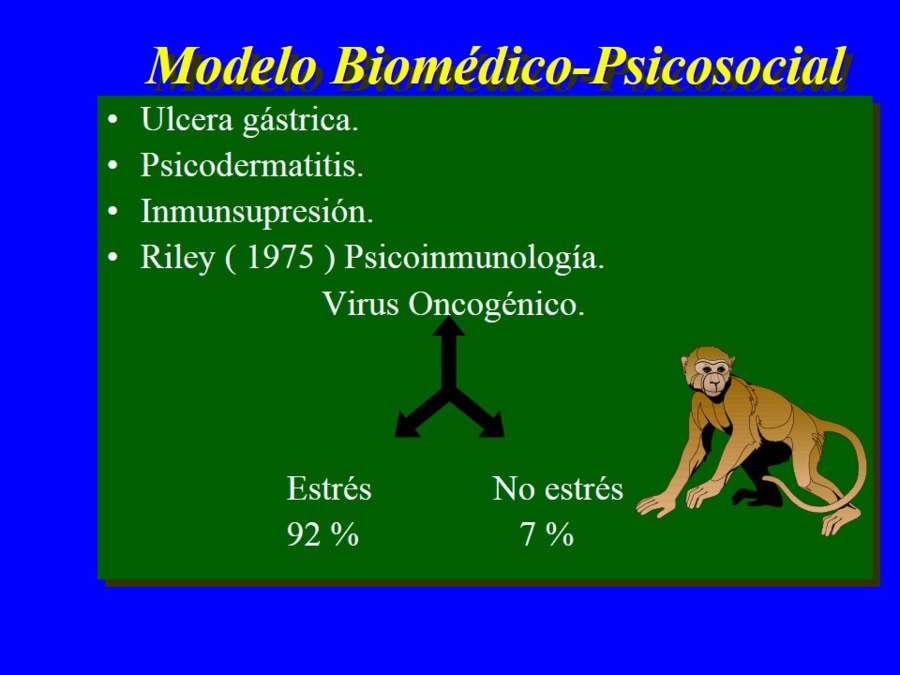 Oncologa bsica