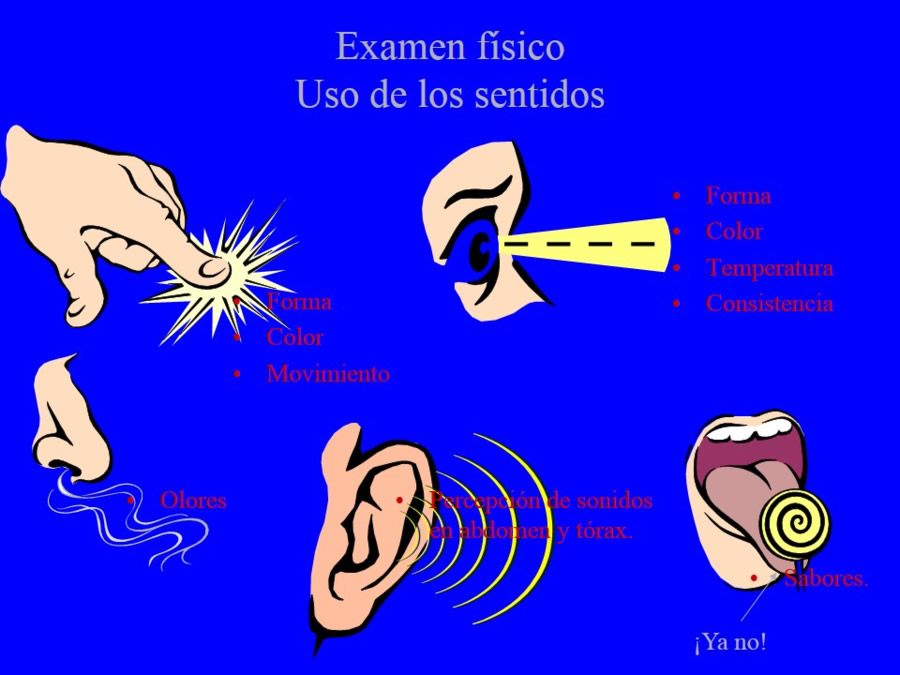 Oncologa bsica