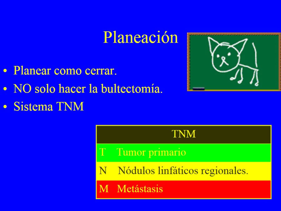 Oncologa bsica