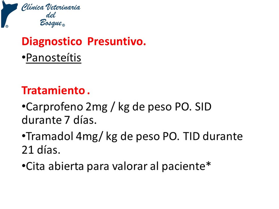 Osteodistrofia Hipertrfica en Canino Gran dans