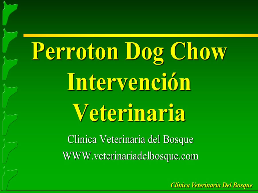 Perroton Dog Chow Intervencin Veterinaria