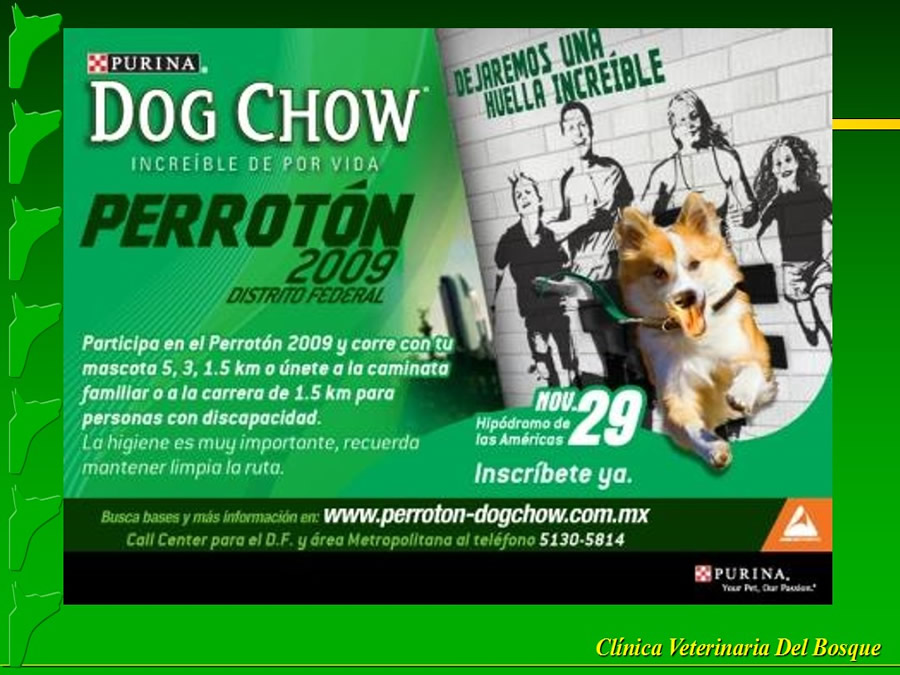 Perroton Dog Chow Intervencin Veterinaria