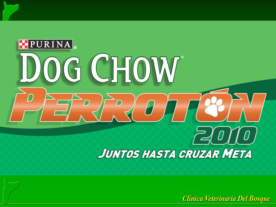 Perroton Dog Chow Intervencin Veterinaria